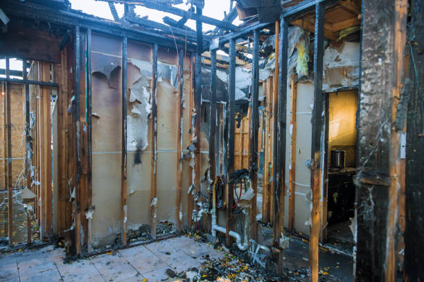 Professional Fire Damage Removal technician working in Scotland Neck, NC